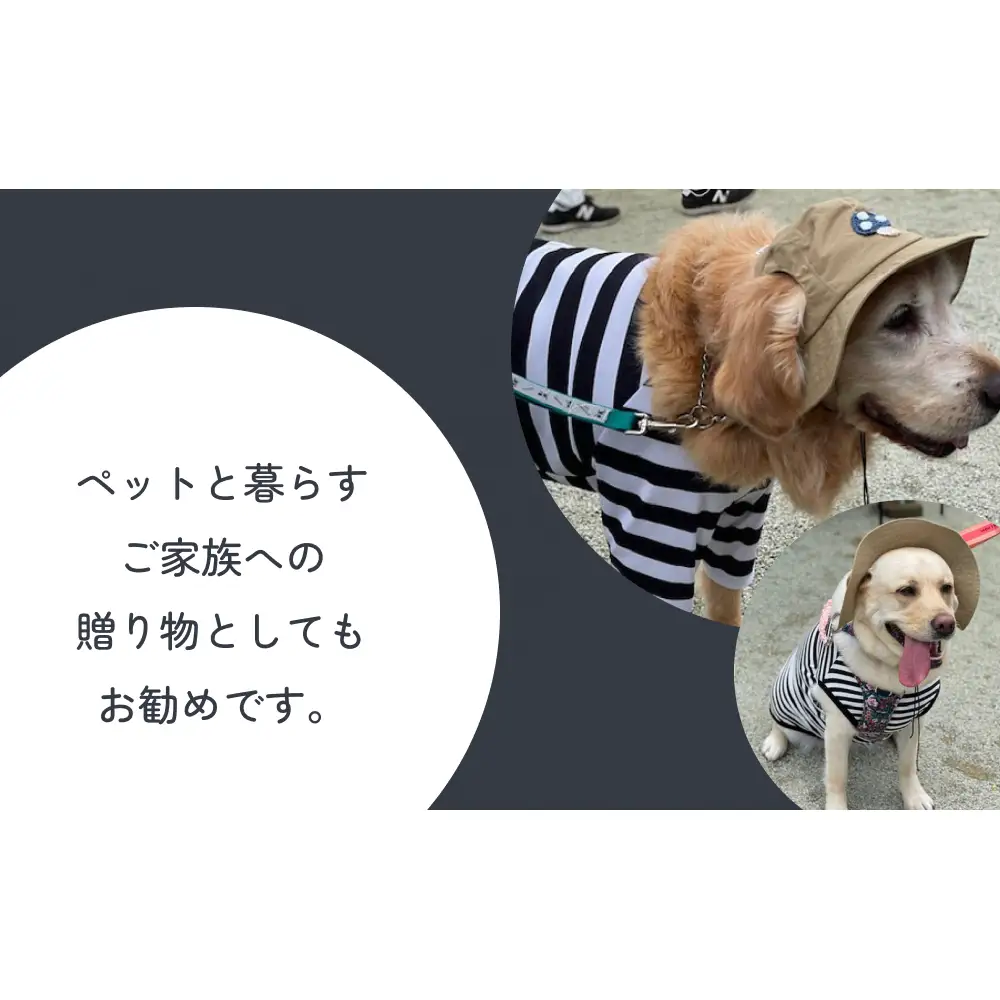 きのこ アウトドアハット　ネイビーXL 犬 ペット グッズ 撥水 帽子 キャップ 男の子 女の子 かわいい