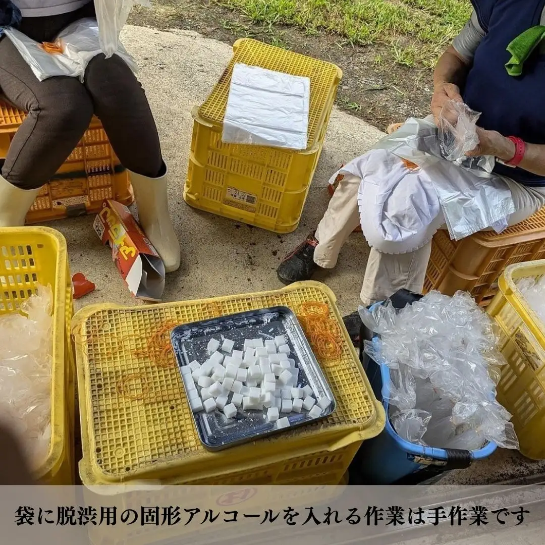 おけさ柿 5L 8個入 | 新潟県 佐渡市 柿