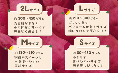 さつまいも 紅はるか 5kg 2Lサイズ 茨城県下妻市産 【 紅はるか べにはるか さつまいも サツマイモ 甘薯 かんしょ 】 