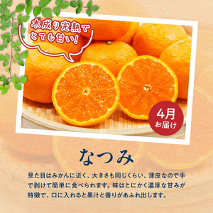 【定期便 全3回】紀州和歌山産旬のフルーツ定期便（ポンカン、なつみ、スイカ）_G60-T62