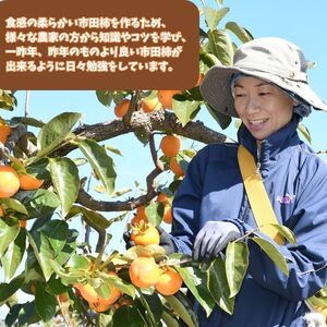 きのした農園の市田柿200g×2袋＜2026年12月中旬より発送＞