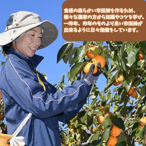 きのした農園の市田柿830g＜2026年12月中旬より発送＞