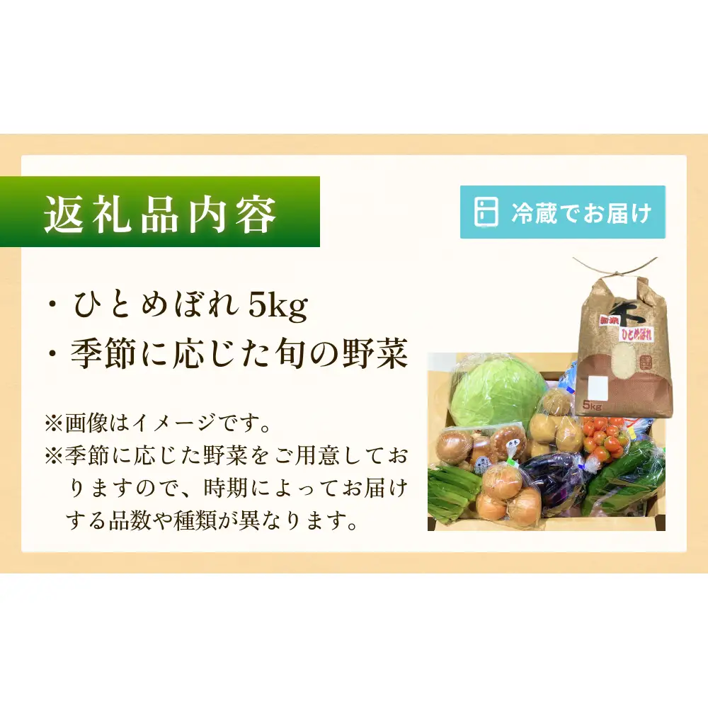 石巻産 お米と季節の野菜セット 朝採れ 旬の野菜 季節の野菜 お野菜 詰め合わせ 食材 新鮮
