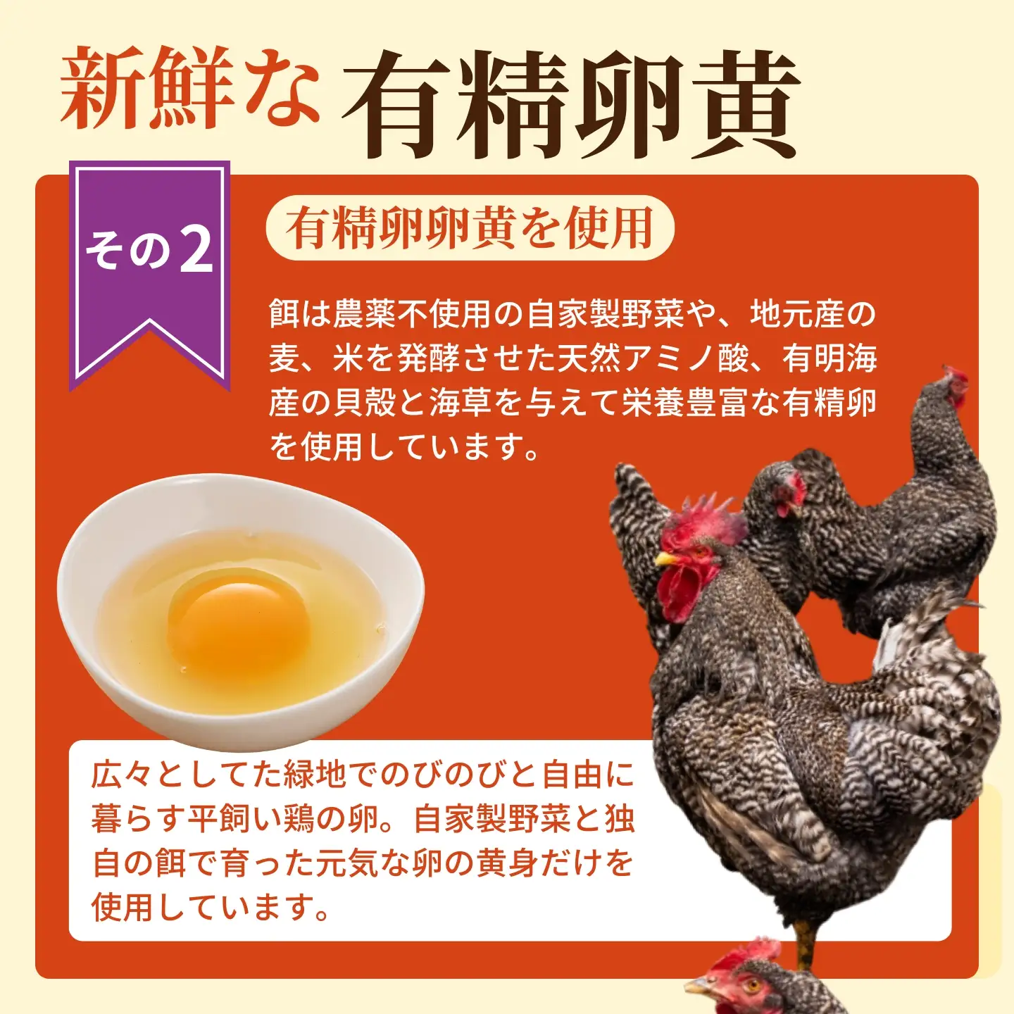 【普通郵便配送】珍しいひげにんにくと有精卵で作ったにんにく卵黄 2袋セット：B115-036