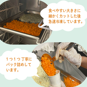 【12月上旬より順次発送】 自然栽培冷凍野菜チップ詰め合わせセット 200g×5袋 ｜ オーガニック 野菜 無添加 野菜チップ 自然 低カロリー ヘルシー バランス栄養 ダイエット 自然栽培 栄養価 体質改善 愛媛県 松前町 【KRU003】