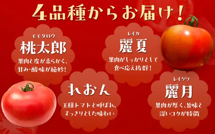 【2週間以内に発送！】 大玉トマト 2種 詰合せ 4kg [AUAH013]大玉トマト