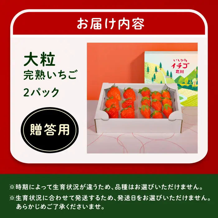 【先行予約】完熟 大粒 いちご 2パック(贈答用) / 恵那市 / クリエイティブファーマーズ [AUAH021] いちご