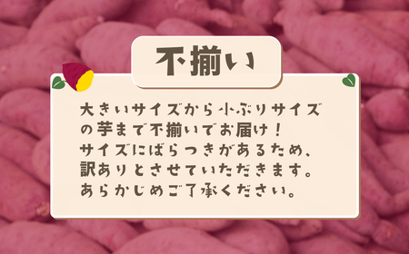 【 訳あり ( 不揃い )】 さつまいも 紅はるか 5kg 不揃いサイズ 茨城県下妻市産 【 紅はるか べにはるか さつまいも サツマイモ 甘薯 かんしょ 】 