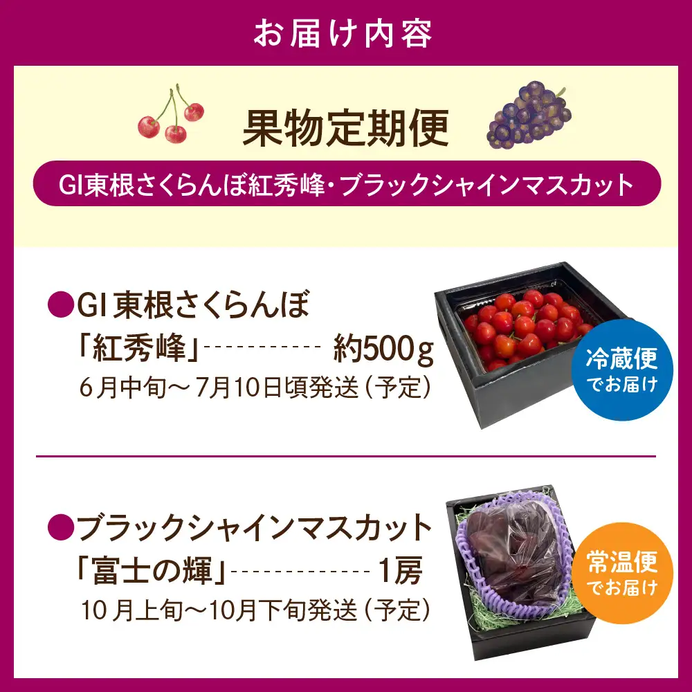 2027年産 全2回 果物 定期便  (さくらんぼ・シャインマスカット)  定期便