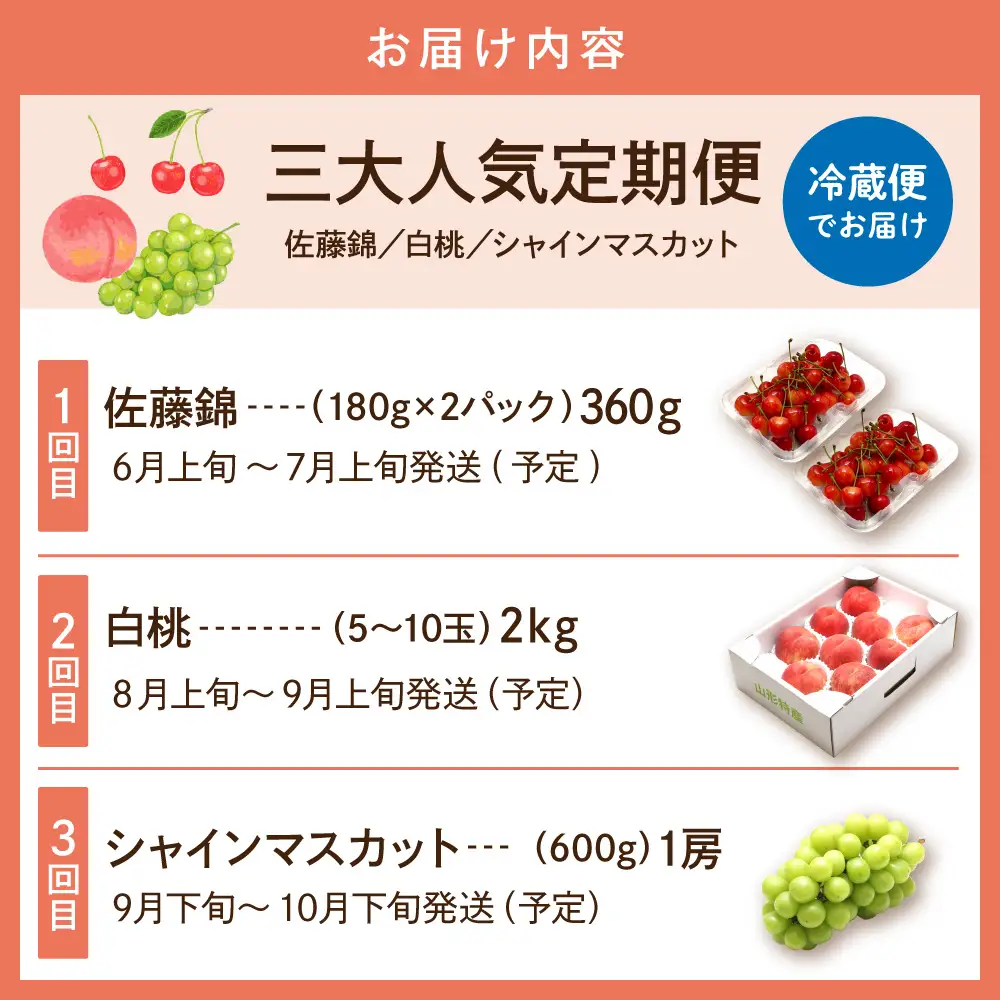 2027年 3回 定期便 フルーツ王国 三大人気定期便 くだもの