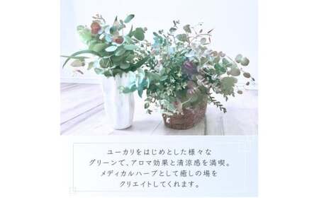 ＼アロマ効果抜群／  ユーカリとアカシア(ミモザ)のアレンジ〈なかやFarm 和歌山県 紀美野町〉/  オージープランツ 癒し 清涼感 植物 花瓶 ユーカリ アカシア ミモザ ハーブ プレゼント ギフト 【nkf948-yuak】