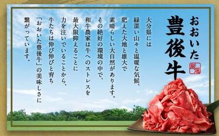 【6ヶ月定期便】豊後牛 切り落とし 約800g (約400g×2) × 6回 合計約4.8kg 定期便 牛肉 大分県産 国産 焼肉 ステーキ 霜降り【2025年2月発送開始】