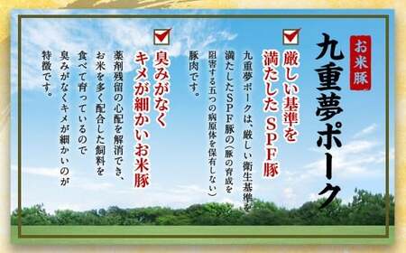 【6ヶ月定期便】交互に届く 九重 夢ポーク ・ 豊後牛 切り落とし 6回 合計約10.8kg 定期便 豚肉 牛肉 大分県産 国産【2025年2月発送開始】