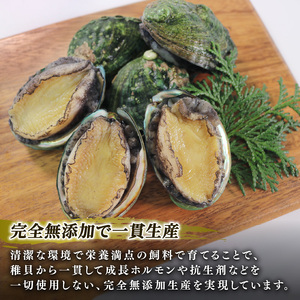 訳あり 簡易包装 三陸翡翠あわび お試しセット 30g×6個 家庭用 冷凍 鮑 青空レストラン 蝦夷あわび あわび アワビ 鮑 Abalone ステーキ バターソテー 正月 お正月 おせち 蒸し鮑 バーベキュー BBQ ごはん 夕飯 おかず おつまみ 晩酌 米 丼 海産物 海鮮 魚介 魚介類 贈答品 お中元 お歳暮 大船渡 三陸 岩手県 国産