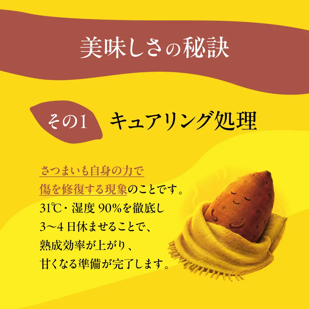《先行予約》 訳あり さつまいも 5kg  さつまいも