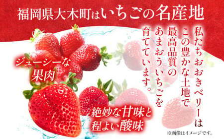 あまおう（大玉）、2パック×3回（1月、2月、3月）定期便（270g/パック）CT001