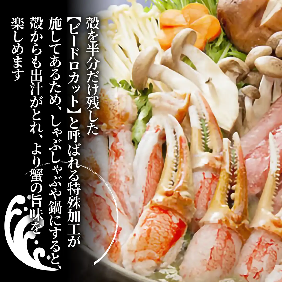 生冷凍 本ずわい蟹セット（ビードロカット）計約1.2kg【カット済】 ABE029