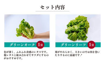 4種のレタス 4袋(80～130g/袋) | レタス