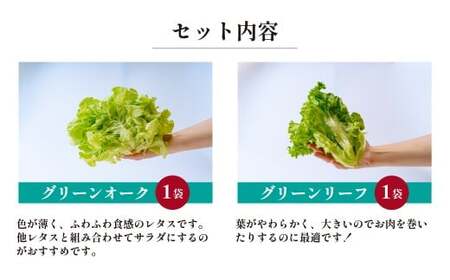 4種のレタス 8袋(80～130g/袋) | レタス