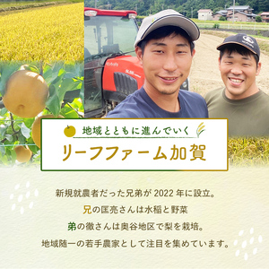 令和6年度 三谷里山米（コシヒカリ）2kg 新米 石川県加賀市産 国産米 精米 コシヒカリ こしひかり こめ 米 復興 震災【能登半島地震復興支援】北陸新幹線 F6P-2276
