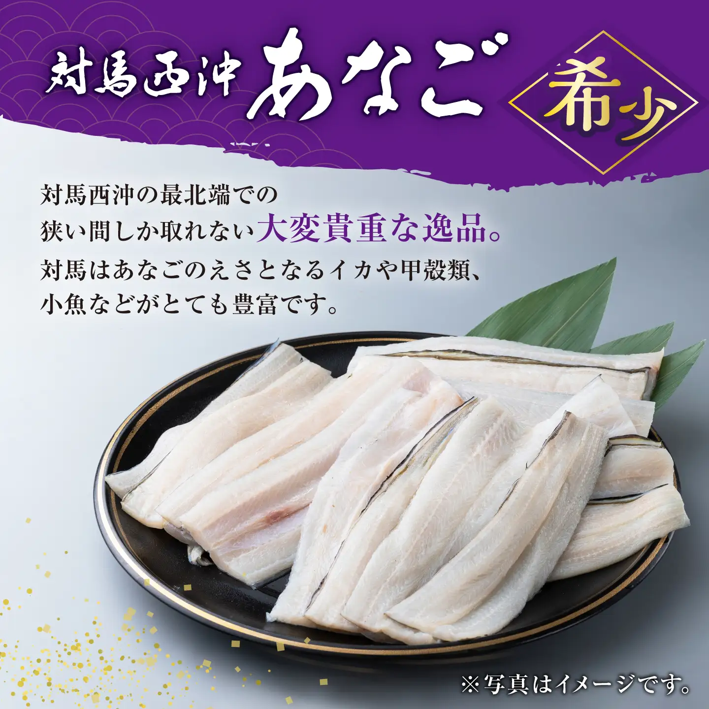 【1週間以内発送】対馬産 西沖あなご 200g×3パック [WAA005] アナゴ 白焼き 穴子 あなご スピード発送 最速発送 最短発送