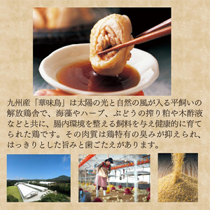 〈博多華味鳥〉 水たきセット 3～4人前 ちゃんぽん麺付き[M677-2] 水炊き もつ鍋 鍋 人気 セット 肉 鶏 はなみどり ご当地グルメ 福岡 スープ