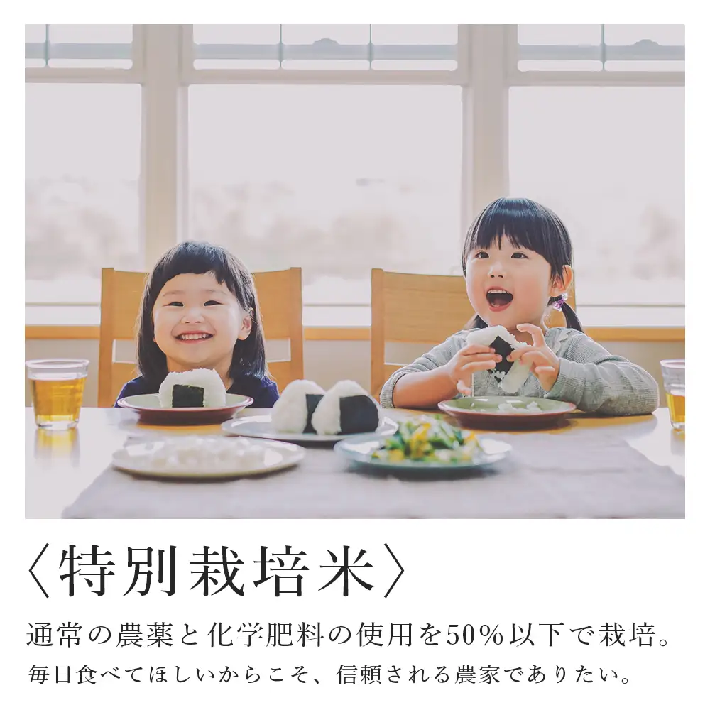 【令和7年産新米】【6カ月定期便】特別栽培米産地直送「ゆめぴりか 10kg」《帰山農園》 米 こめ 北海道産お米 北海道米 美味しいお米 北海道産米 道産米