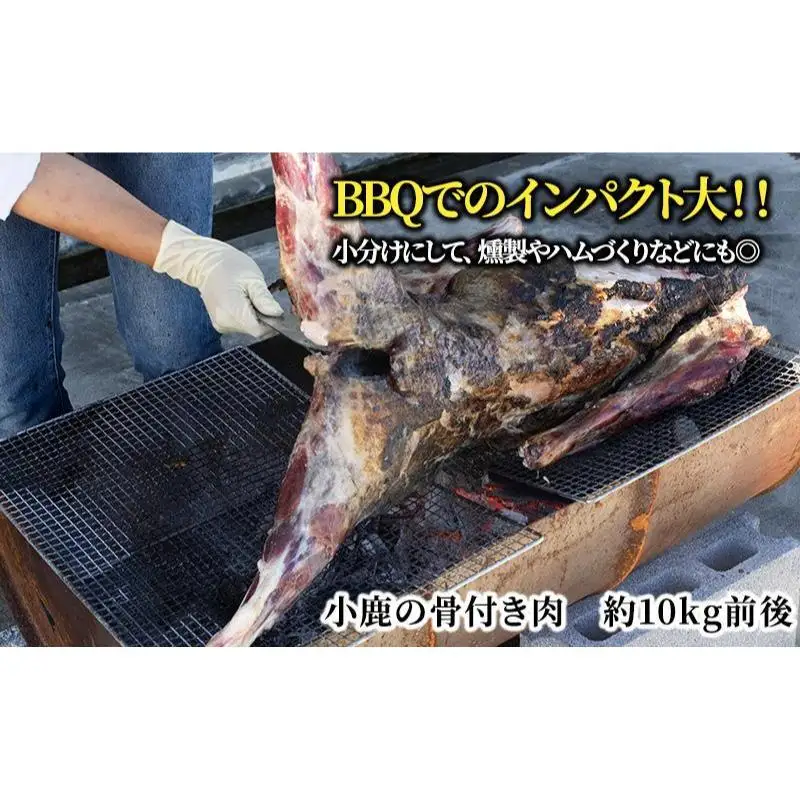 【伊豆産シカ肉】シカ1頭丸焼きセット（約10kg）鹿肉 シカ肉 ジビエ 高タンパク 高たんぱく 低カロリー 低脂肪 肉 お肉 山の幸