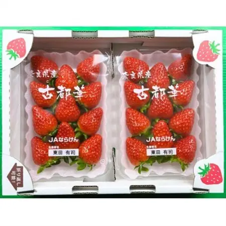 【2027年1月以降発送】奈良県産いちご「古都華」2パック_果物・フルーツ いちご  イチゴ 苺_【配送不可地域：離島】【1556700】