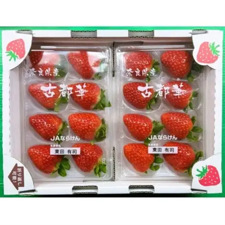 【2027年1月以降発送】《希少品》奈良県産いちご「古都華」大粒(5L～4Lサイズ )2パック_果物・フルーツ いちご  イチゴ 苺_【配送不可地域：離島】【1556701】