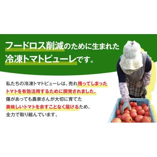 冷凍 トマトピューレ 180g × 10パック 訳あり [AL010tu]
