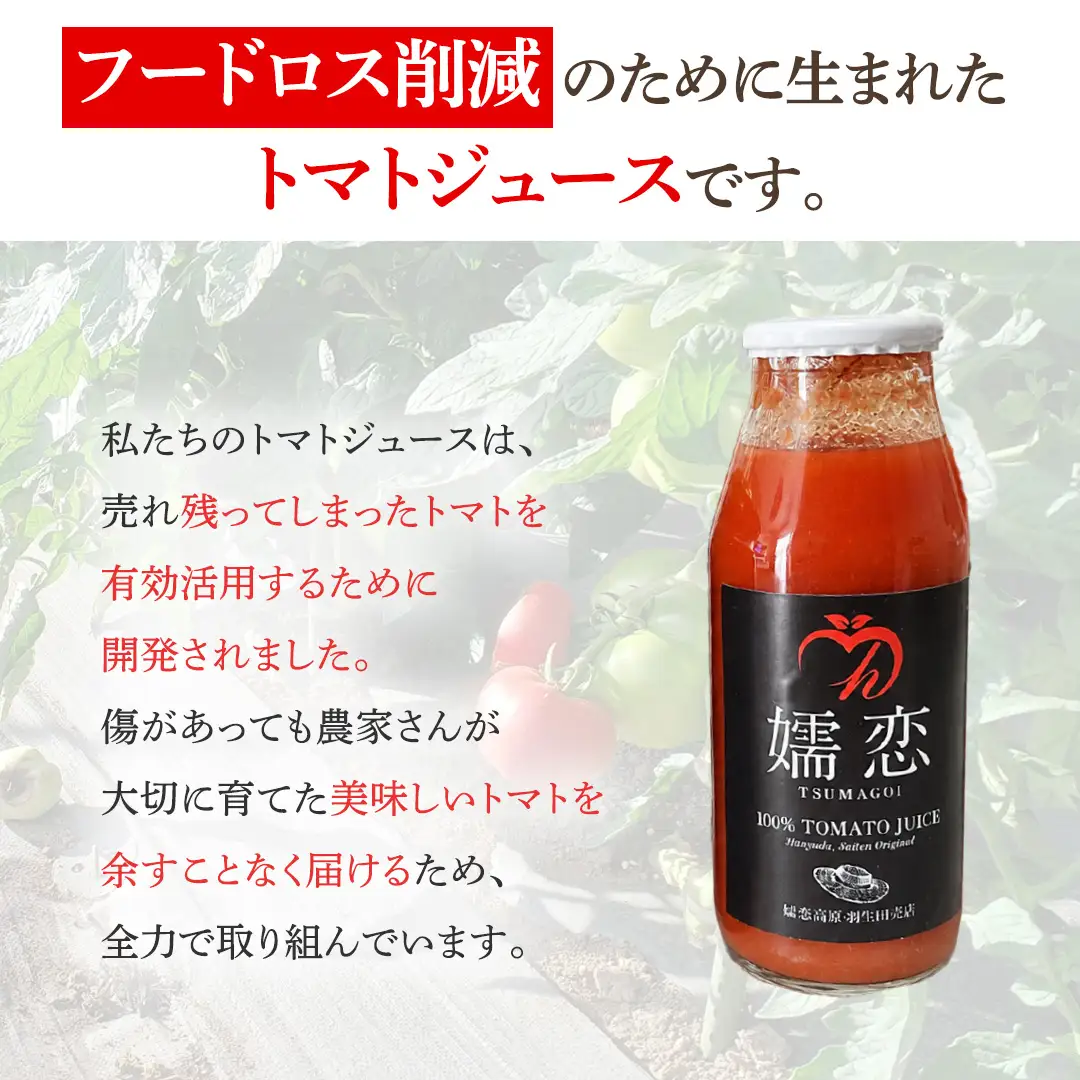 添加物不使用のトマトケチャップ 300g×2本 トマトジュース180ml×3本 詰合せセット 訳あり フードロス トマト トマトケチャップ ケチャップ トマトジュース ジュース 野菜 ギフト 詰合せ ギフトセット [AL013tu]