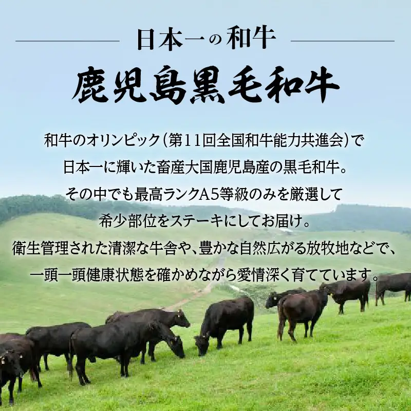 A5等級 鹿児島県産黒毛和牛リブロース 1ポンドステーキ K002-041_01 肉 牛肉 冷凍