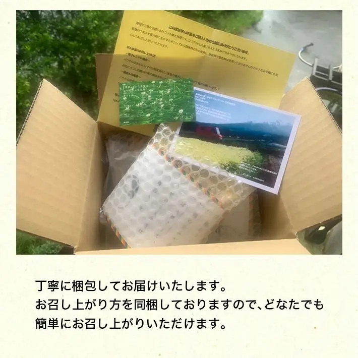 親鳥の煮込み 「ばんば鳥」 200g×6袋 計1200g 冷凍便 ※離島発送不可 無着色 鶏肉 煮物 惣菜 手づくり 手作り 醤油味 しょうゆ味 おかず おつまみ 時短 レンジ調理 温めるだけ 個包装 小分け 東北 山形県 遊佐町 庄内 [1574]