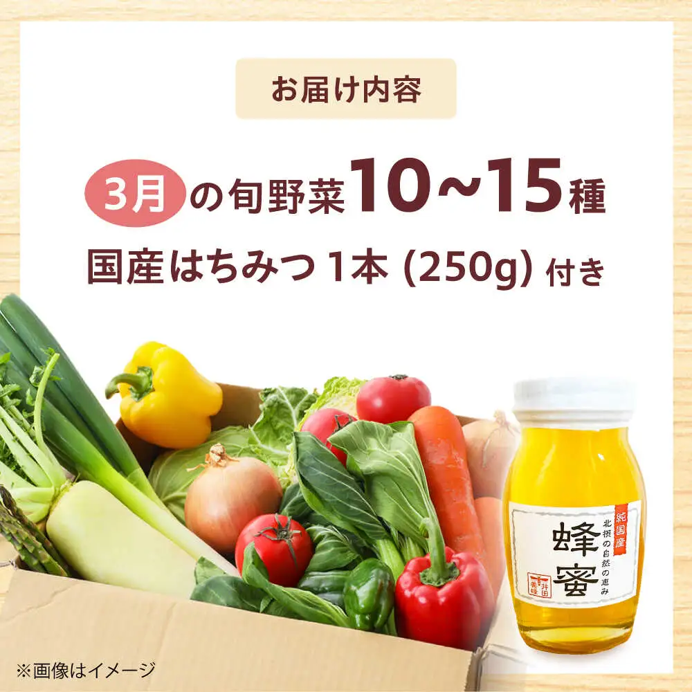 高槻野菜詰め合わせ 3月（10〜15種）＆はちみつ セット[AOCS022]野菜セット