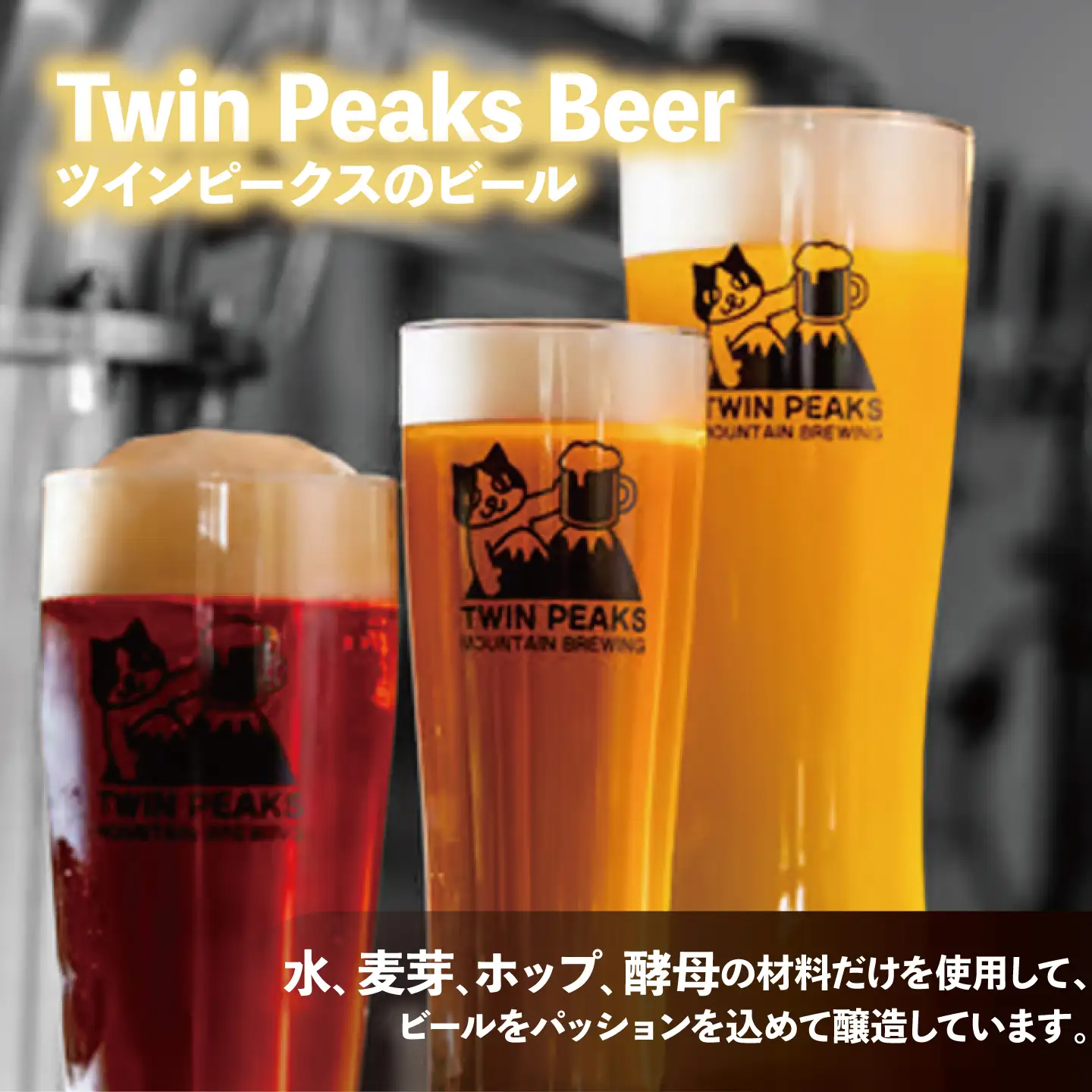 クラフトビール おまかせ12本 ビール