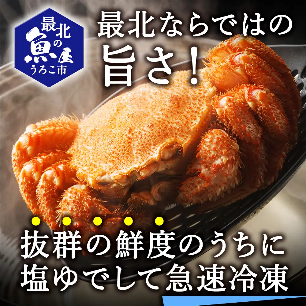 【のし付き】北海道オホーツク海産 浜ゆで毛がに　約500g×2尾【配送不可地域：離島】