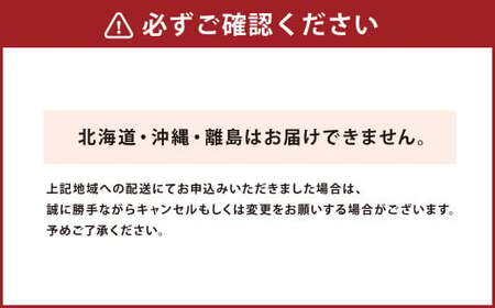 ＜ R8年熊本地震復興支援 ＞【配送指定日必須】天草産活車海老 1000g 大（2L） 24～28尾 1kg 活き車海老 車海老 車エビ 活き海老 活きエビ えび 海老 エビ 新鮮 魚介 【発送期間2026年11月6日～2027年3月31日】