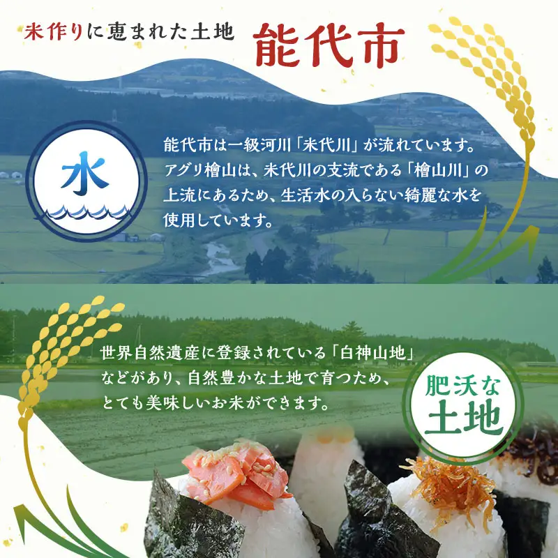 令和7年産 玄米 秋田県産 あきたこまち  アグリ檜山米 玄米【5kg】