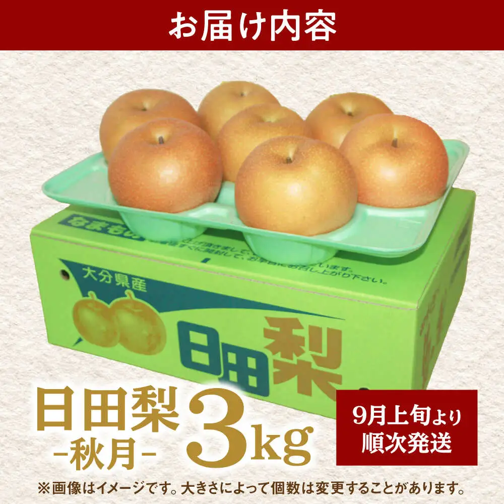 【先行予約・26年9月以降発送】梨 あきづき 3kg 日田 梨[ARBB003]