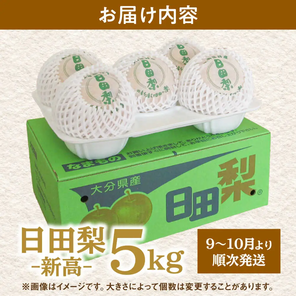 【先行予約】日田梨 新高 5kg 梨[ARBB004]