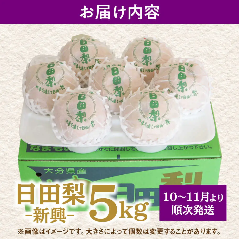 【先行予約・26年10月以降発送】梨 新興 5kg 梨 [ARBB005]