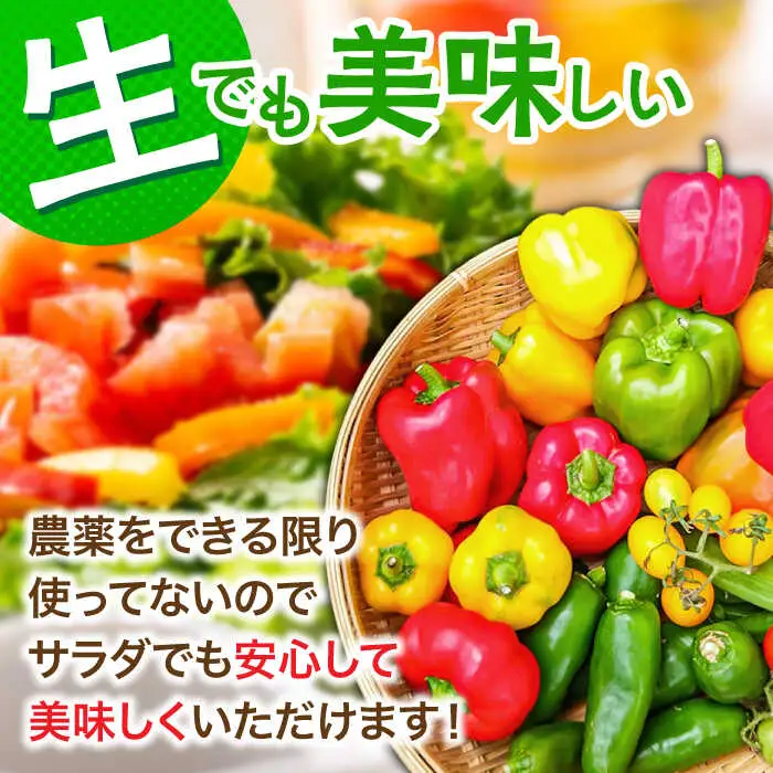 【特別栽培】 農家セレクト日田の厳選食材 詰め合わせ 日田市 野菜 果物 米 産地直送 新鮮 セット [ARBR001]