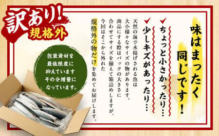 【訳あり規格外】  業務用 無添加 無塩さば 1.5kg 鯖 さば サバ 魚 お魚 さかな 魚介 魚介類