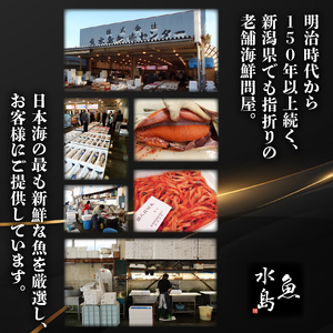 甘えび 30尾 冷凍 甘エビ甘エビ甘エビ甘エビえびえびえびえびえび uomizushima002_01
