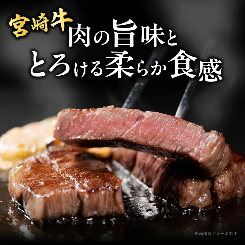 宮崎牛サーロインステーキ(計800g) 肉 牛 牛肉 国産_T050-0025