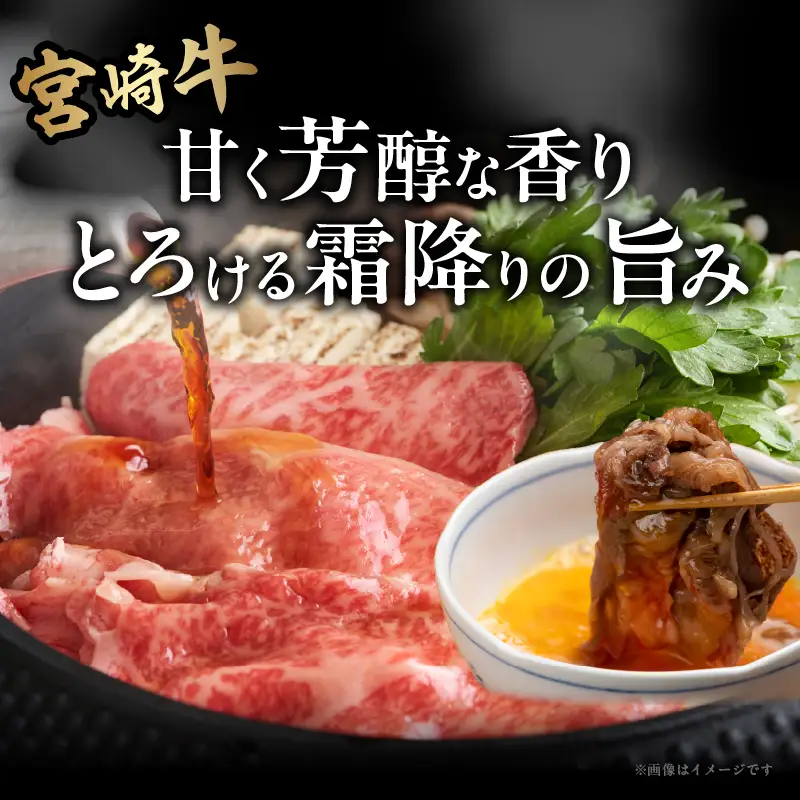 宮崎牛ローススライス(計800g) 肉 牛 牛肉 国産_T050-0065