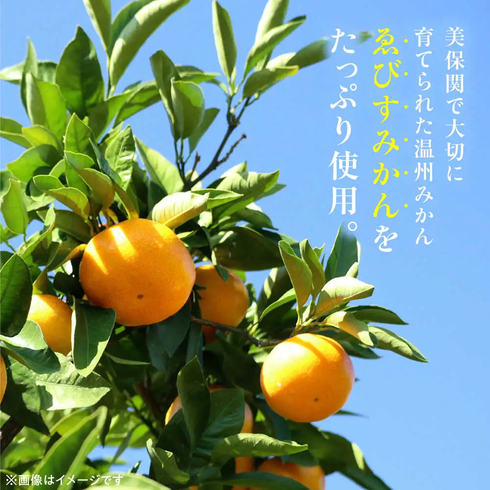 甘酒 ゑびすみかん甘酒 島根半島・美保関 200g×5個 冷凍 スイーツ 麹 松江市産みかん 島根県松江市/ミホツ姫命稲穂の会[ALET002] 甘酒 甘酒