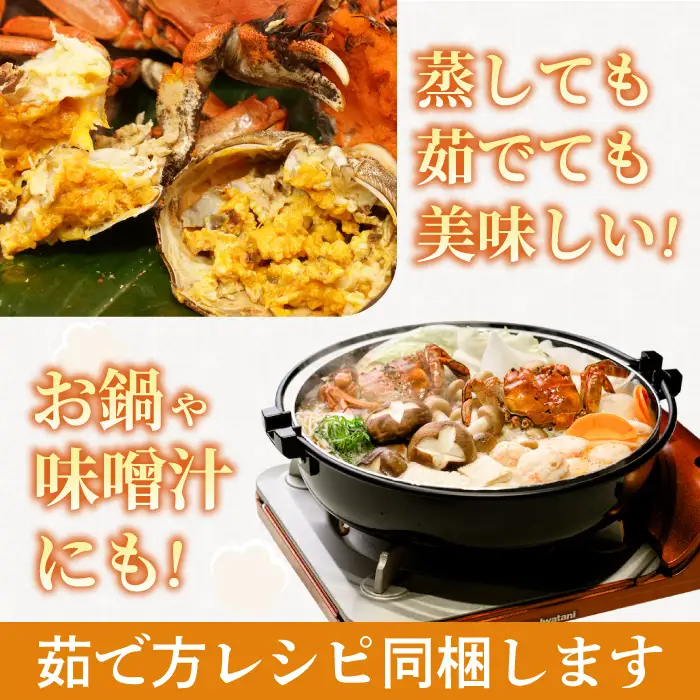【数量限定】広島県産 天然 活モクズガニ8匹＋2匹 2026年12月頃発送予定 天然 国産  藻屑蟹 川蟹 川ガニ 上海蟹  唐揚げ 味噌汁 蒸し 茹で ボイル レシピ付き 117022