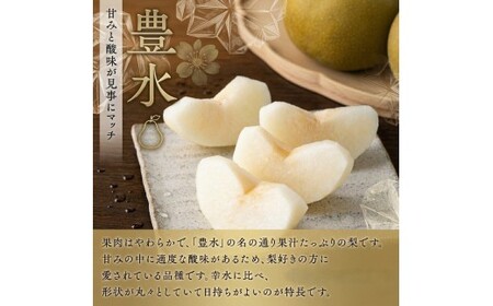 梨 2種 ( 幸水 ＆ 豊水 各10kg 合計20kg ) 定期便 セット 2026年産 先行予約 なし